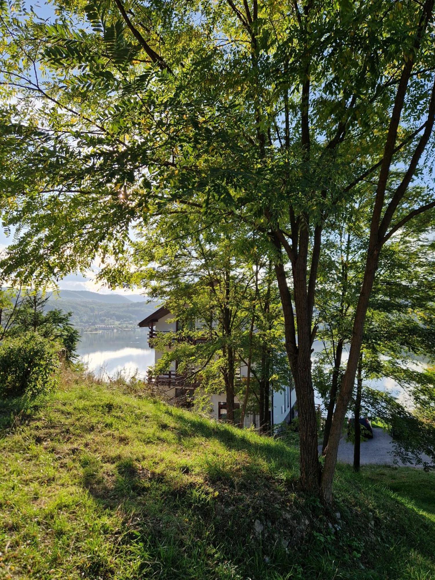 Pensiunea Belvedere Cincis Bagian luar foto
